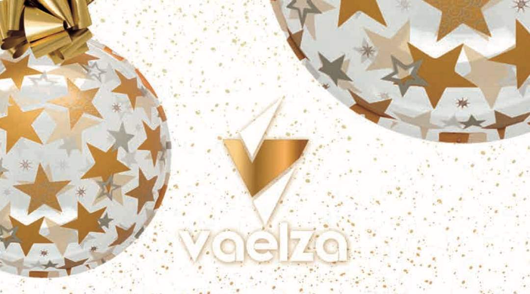 En este momento estás viendo Catálogo de Iluminación y Decoración de Navidad – VAELZA 2020